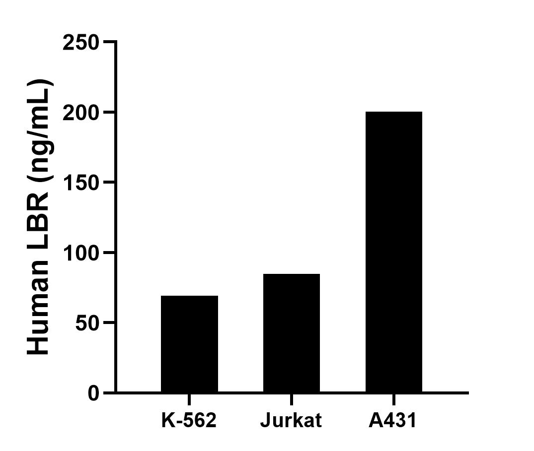 Sample test of MP01373-3